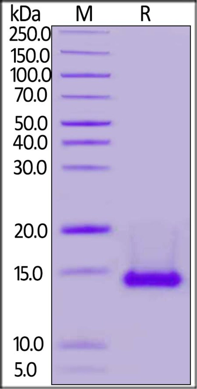 Acrobiosystems Stock