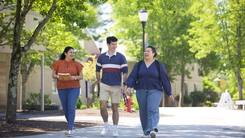 Snhu Merit Scholarships